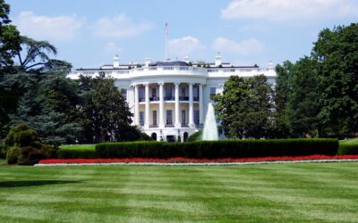 Executive Branch
